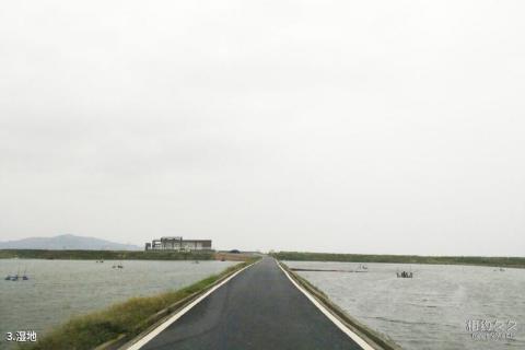 福州闽江河口国家湿地公园旅游攻略 之 湿地