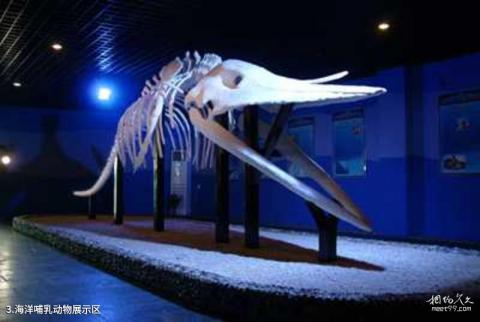 博鳌海洋馆旅游攻略 之 海洋哺乳动物展示区
