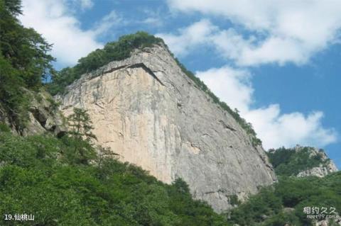 宝鸡太白青峰峡森林公园旅游攻略 之 仙桃山