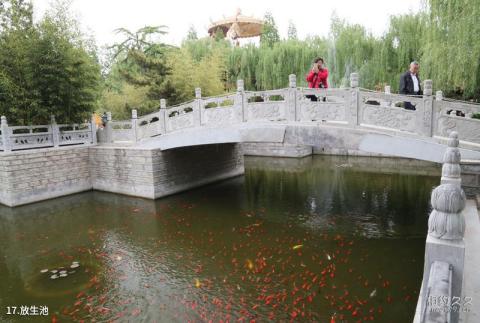 潍坊金泉寺旅游攻略 之 放生池