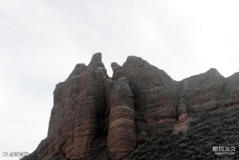 张掖肃南冰沟丹霞景区旅游攻略 之 金驼情深