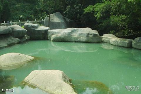 福建九候山风景区旅游攻略 之 放生池