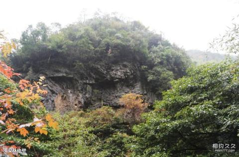 安徽宁国夏霖风景区旅游攻略 之 深林绝壁