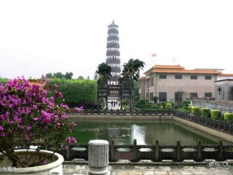 雷州三元塔公园旅游攻略 之 鉴池