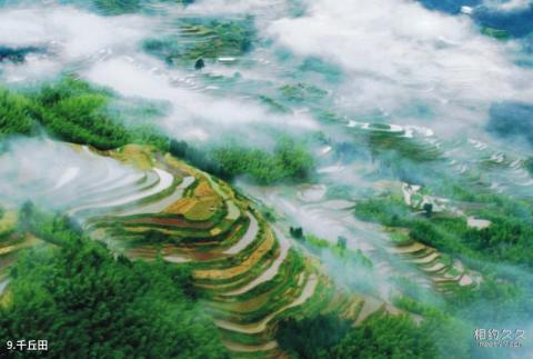 萍乡杨岐山风景区旅游攻略 之 千丘田 萍乡杨岐山风景区旅游攻略 之 千丘田