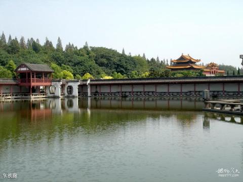 荆州江陵盆景园旅游攻略 之 长廊