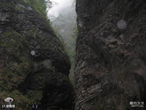 商洛金丝大峡谷国家森林公园旅游攻略 之 顽佛洞 商洛金丝大峡谷国家森林公园旅游攻略 之 顽佛洞