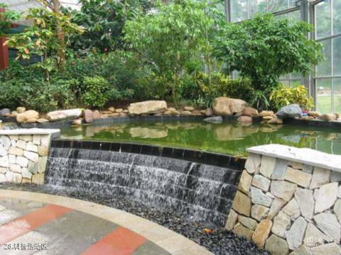 中科院华南植物园旅游攻略 之 科普活动区 中科院华南植物园旅游攻略 之 科普活动区