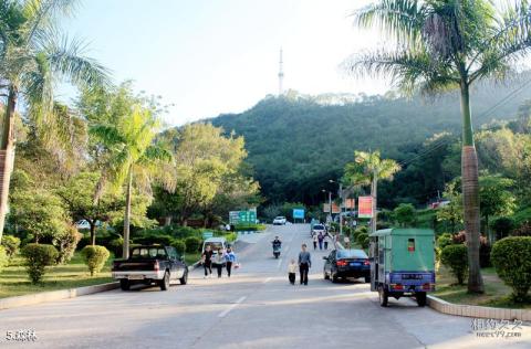 广东神光山国家森林公园旅游攻略 之 森林 广东神光山国家森林公园旅游攻略 之 森林