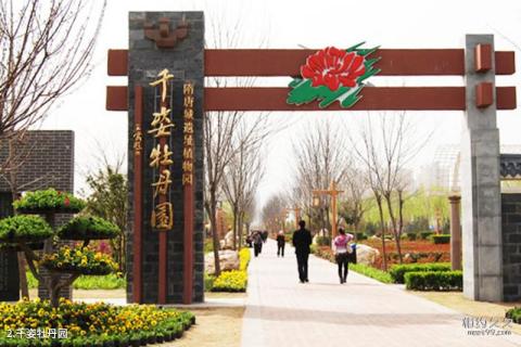 洛阳市隋唐城遗址植物园景区旅游攻略 之 千姿牡丹园