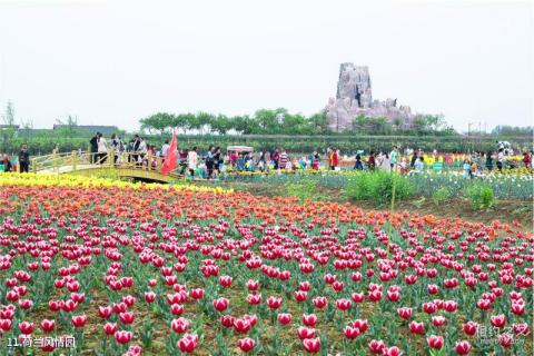 临沂兰陵国家农业公园旅游攻略 之 荷兰风情园