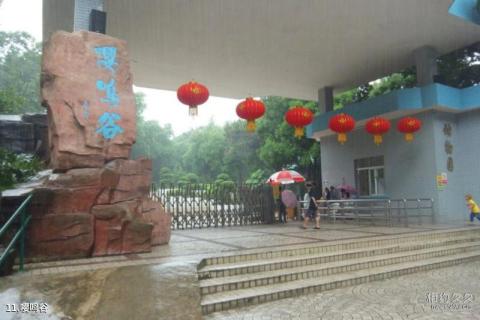 中山紫马岭公园旅游攻略 之 嘤鸣谷 中山紫马岭公园旅游攻略 之 嘤鸣谷
