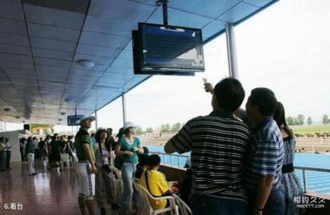 大庆吉禾民族赛马场旅游攻略 之 看台