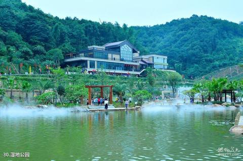 广东神光山国家森林公园旅游攻略 之 湿地公园