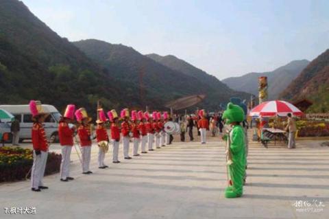 阳泉翠枫山旅游攻略 之 枫叶大道