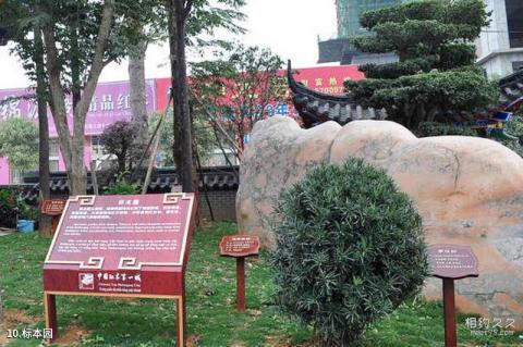 广西凭祥红木文博城旅游攻略 之 标本园