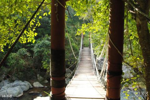 五指山热带雨林风景区旅游攻略 之 吊桥