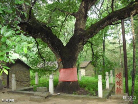 北京云蒙山国家森林公园旅游攻略 之 娘娘榆