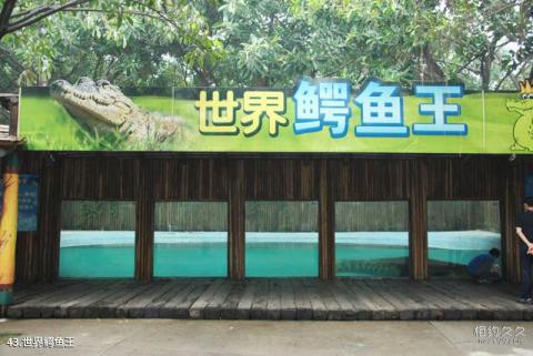 广州长隆旅游度假区旅游攻略 之 世界鳄鱼王 广州长隆旅游度假区旅游攻略 之 世界鳄鱼王