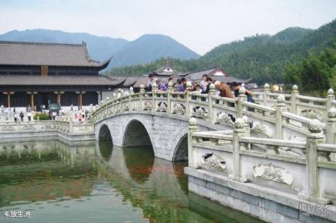 奉新百丈山萝卜潭风景区旅游攻略 之 放生池