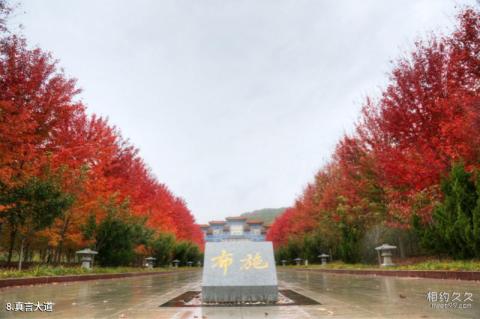 大连横山北普陀主题文化公园旅游攻略 之 真言大道 大连横山北普陀主题文化公园旅游攻略 之 真言大道