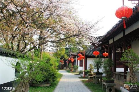 荆州九老仙都景区旅游攻略 之 文化长廊