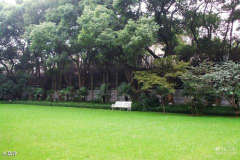 上海宋庆龄故居纪念馆旅游攻略 之 草坪