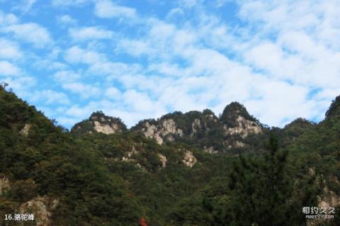 岳西明堂山风景区旅游攻略 之 骆驼峰