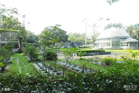 台北植物园旅游攻略 之 温室