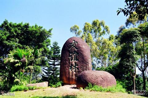 深圳大学校园风光 之 友谊林