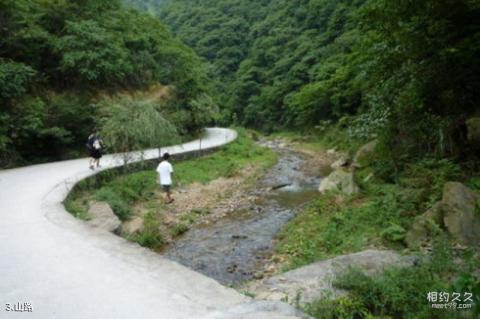 遵义大板水国家森林公园旅游攻略 之 山路