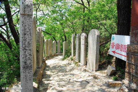 平度大泽山风景区旅游攻略 之 第一功德碑林 平度大泽山风景区旅游攻略 之 第一功德碑林