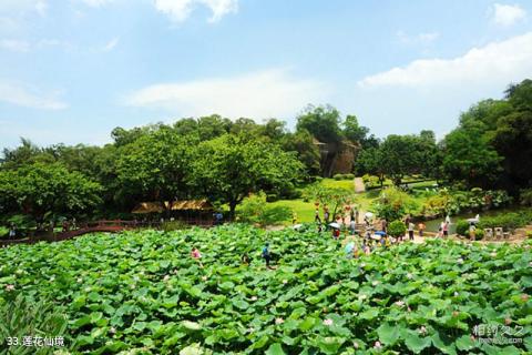 广州莲花山旅游区旅游攻略 之 莲花仙境 广州莲花山旅游区旅游攻略 之 莲花仙境