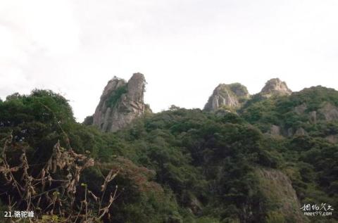 温州永嘉龙湾潭国家森林公园旅游攻略 之 骆驼峰