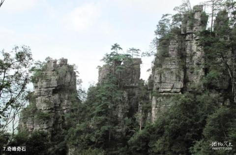 金秀莲花山旅游景区旅游攻略 之 奇峰奇石