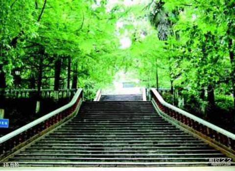 云南大学校园风光 之 台阶
