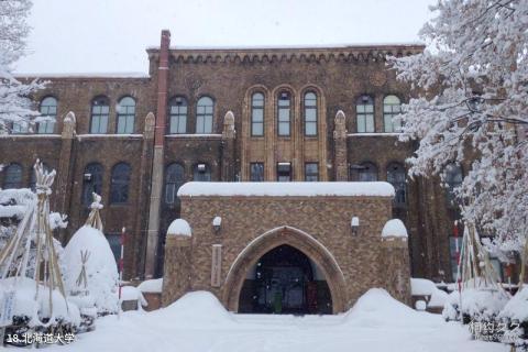 日本札幌旅游攻略 之 北海道大学