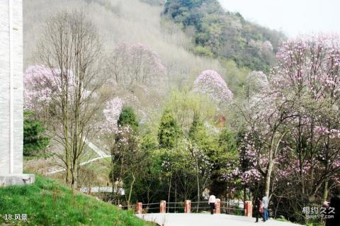 绵阳北川药王谷旅游攻略 之 风景