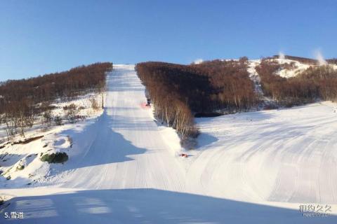 崇礼密苑云顶乐园旅游攻略 之 雪道 崇礼密苑云顶乐园旅游攻略 之 雪道