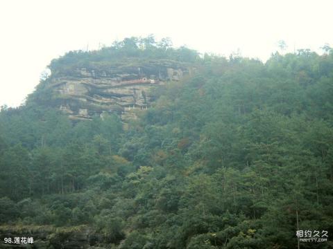 武夷山风景区旅游攻略 之 莲花峰 武夷山风景区旅游攻略 之 莲花峰