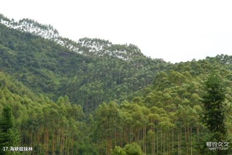 福州兔耳山景区旅游攻略 之 海峡姐妹林
