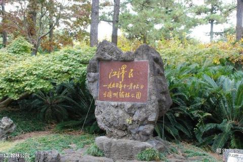 韩国济州岛旅游攻略 之 翰林公园