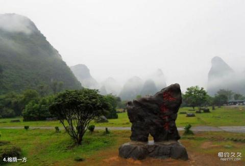 桂林月亮山景区旅游攻略 之 榕荫一方