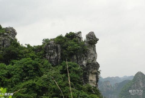 广西八仙天池旅游攻略 之 骆驼峰