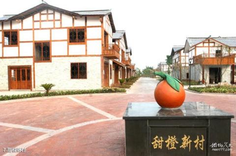 武胜白坪飞龙乡村旅游度假区旅游攻略 之 甜橙新村 武胜白坪飞龙乡村旅游度假区旅游攻略 之 甜橙新村