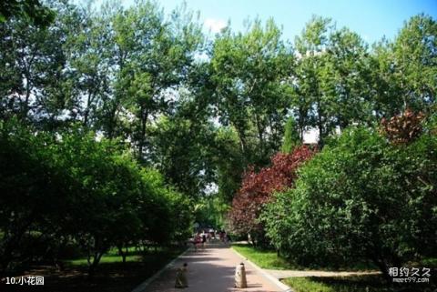 首都师范大学校园风光 之 小花园