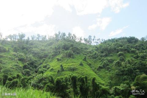 河口南溪河风景区旅游攻略 之 森林公园