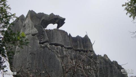 昆明石林风景区旅游攻略 之 凤凰梳翅