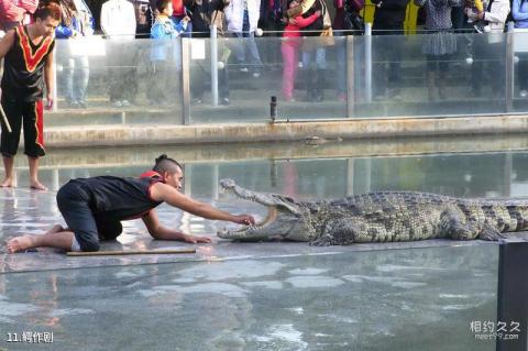 广州鳄鱼公园旅游攻略 之 鳄作剧