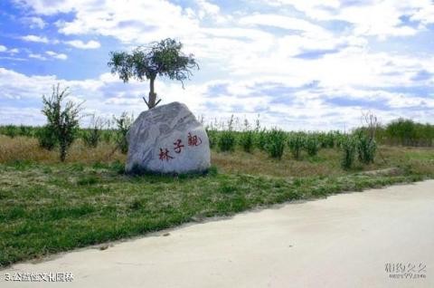 东营华林庄园旅游攻略 之 公益性文化园林